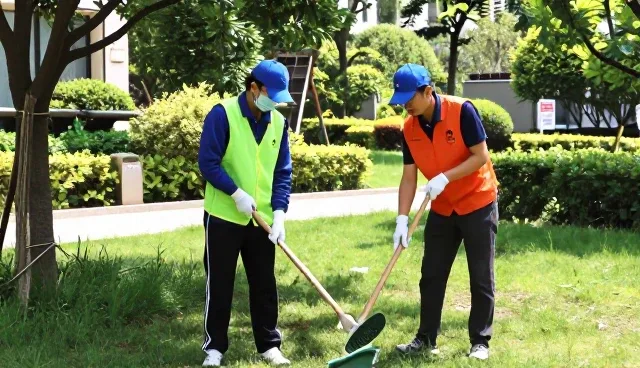 家政保洁中公共卫生问题的常见处理方法